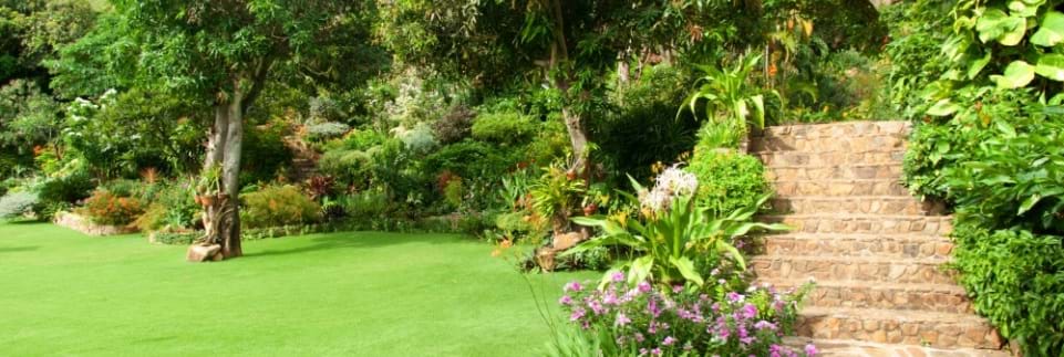 Total Property Services Testimonials